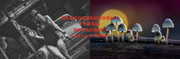 а пвп мука Алексеевка