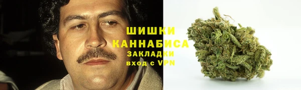 спайс Алзамай