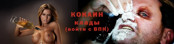 мдпв Новозыбков