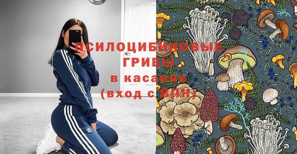 спайс Алзамай